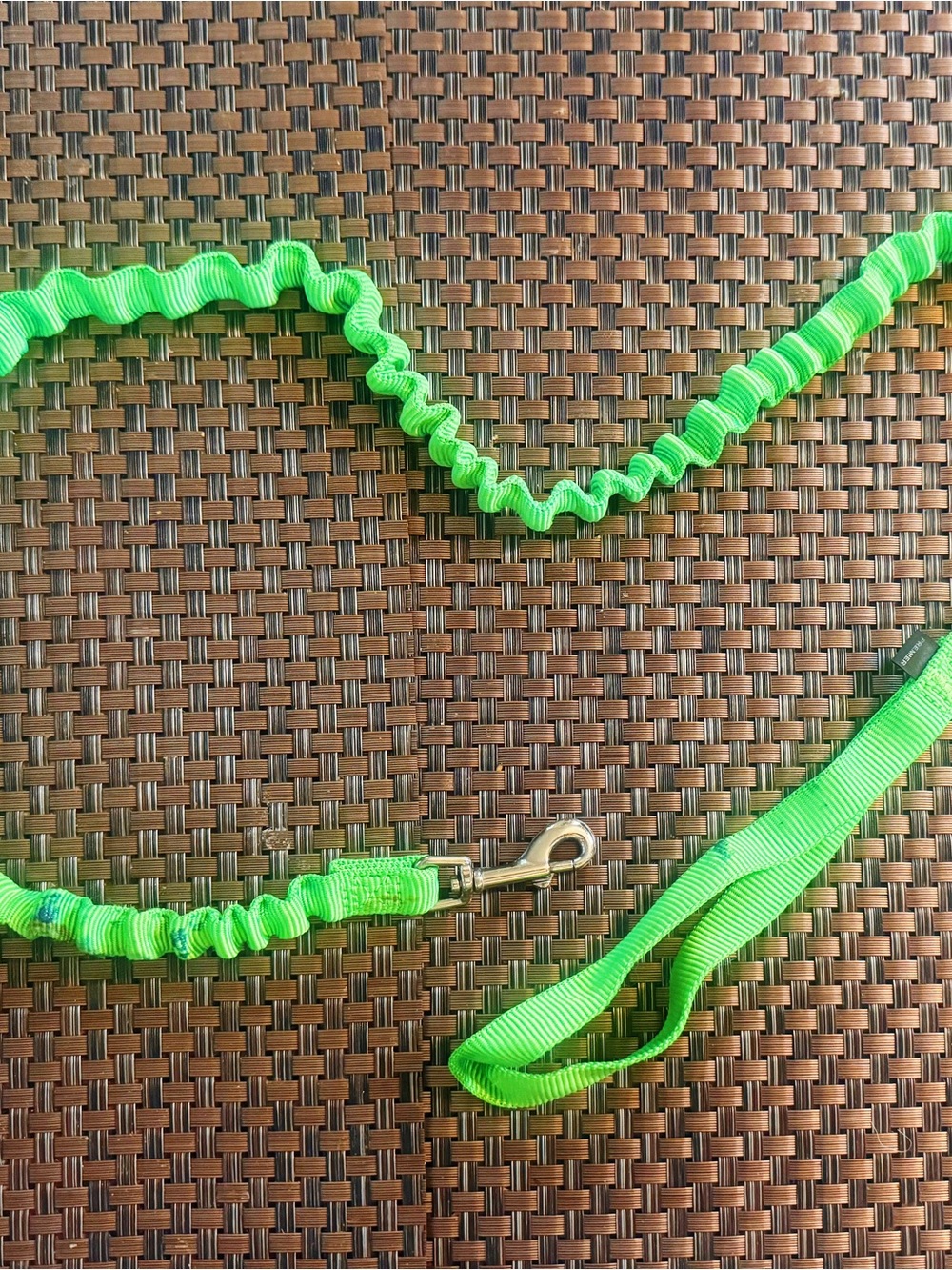Walk Your Cat/Kitty Safely! Neon Green Elastic/Stretchable Pet Leash with Handle